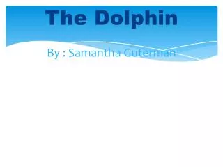 The Dolphin By : Samantha Guterman