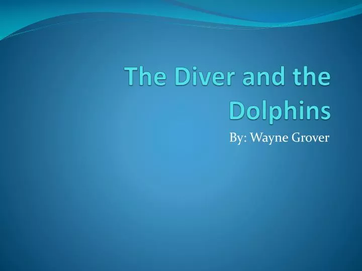 the diver and the dolphins