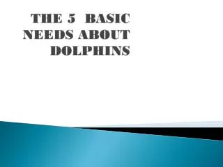 THE 5 BASIC NEEDS ABOUT DOLPHINS
