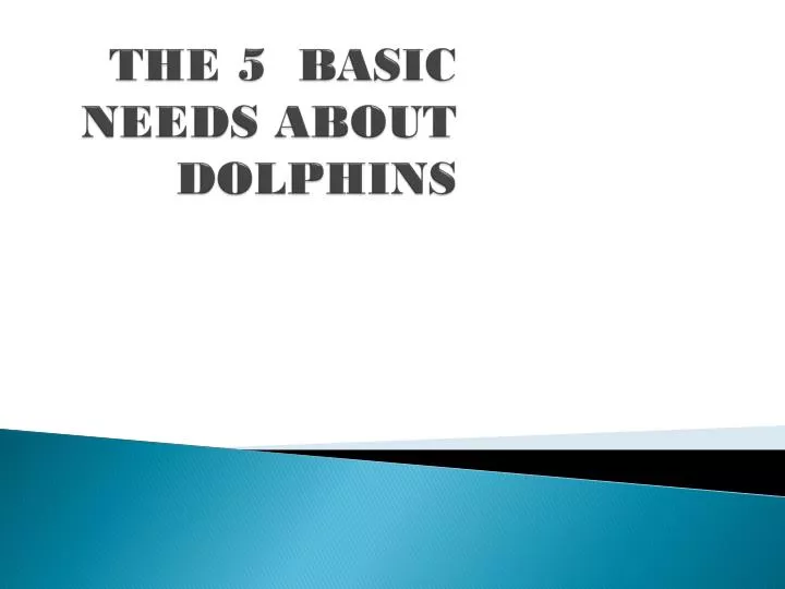 the 5 basic needs about dolphins