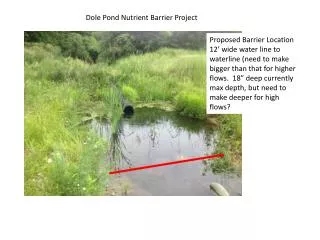 Dole Pond Nutrient Barrier Project