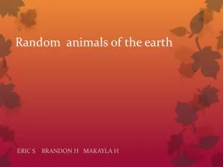Random animals of the earth
