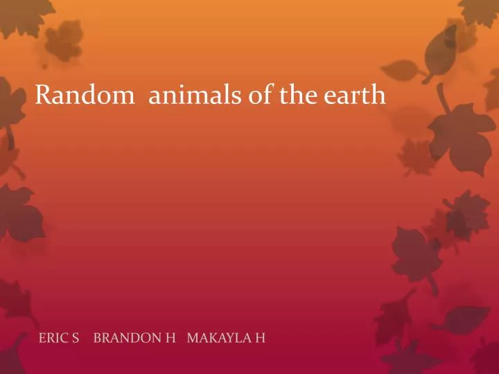 random animals of the earth