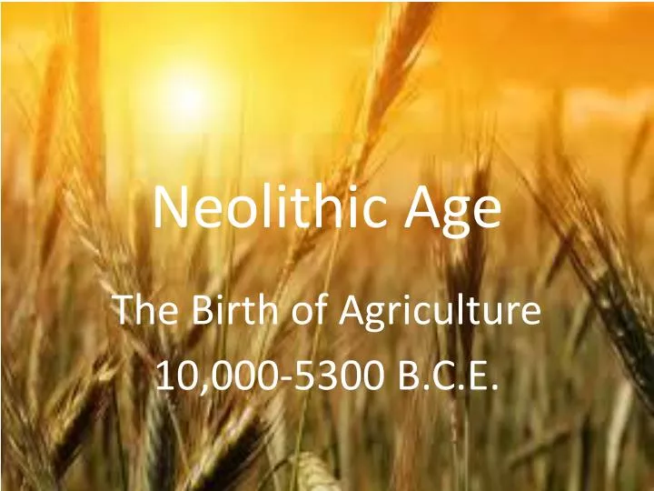 neolithic age