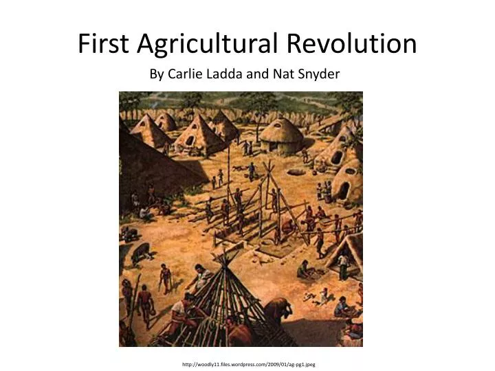 first agricultural revolution