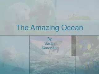 The Amazing Ocean By Sarah Simonetti