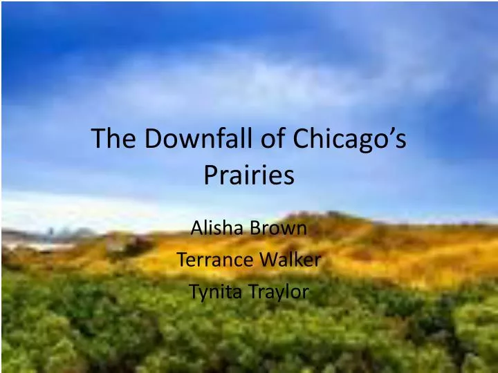 the downfall of chicago s prairies