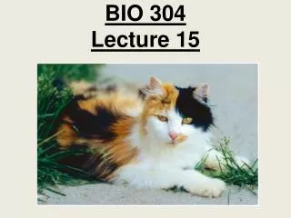 BIO 304 Lecture 15
