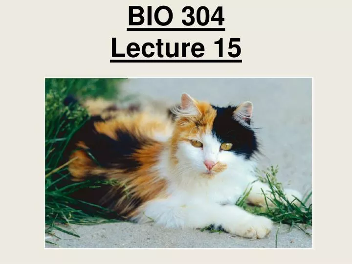 bio 304 lecture 15