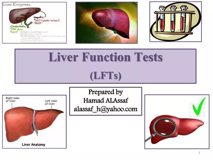 liver function tests lfts