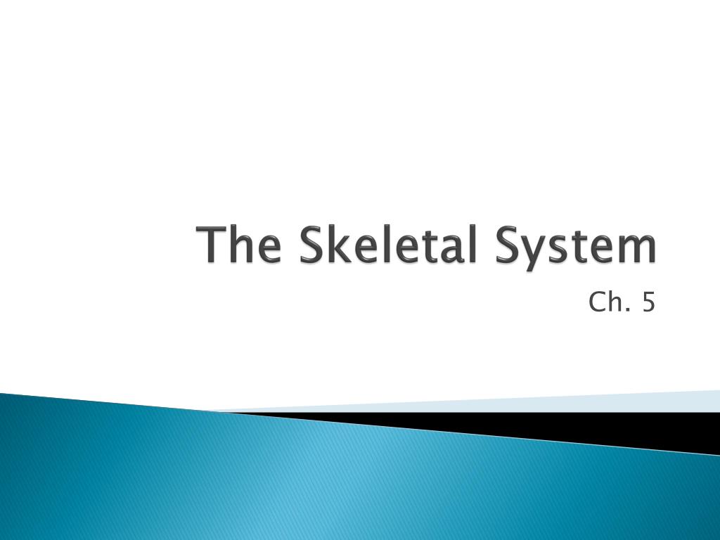 PPT - The Skeletal System PowerPoint Presentation, free download - ID ...