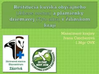 re tit cia kuvika oby ajn ho athene noctua a plamienky driemavej tyto alba v ilinskom kraji