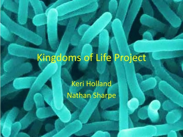 kingdoms of life project