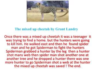 The mixed up cheetah by Grant Landry