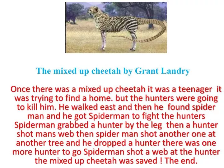 the mixed up cheetah by grant landry