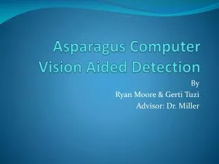 Asparagus Computer Vision Aided Detection