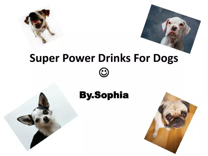 super power drinks for dogs