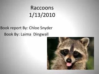 Raccoons 1/13/2010
