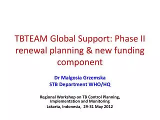 TBTEAM Global Support: Phase II renewal planning &amp; new funding component