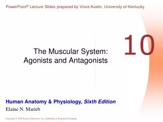 The Muscular System: Agonists and Antagonists