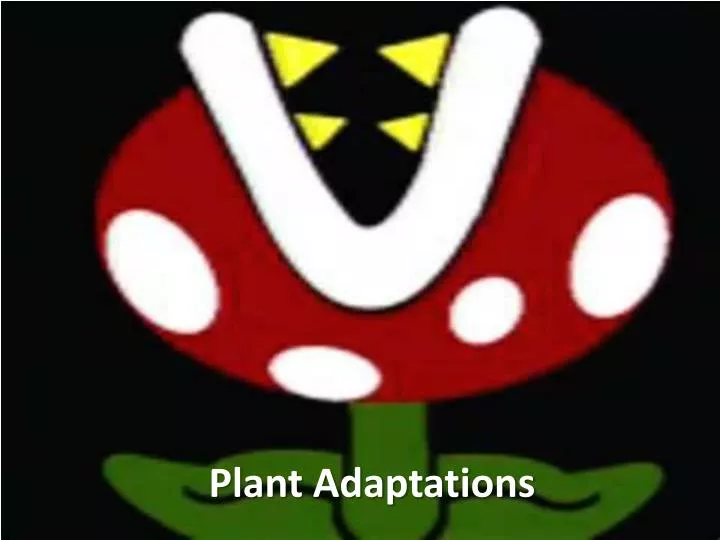 plant adaptations