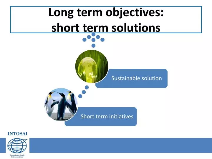 long term objectives short term solutions