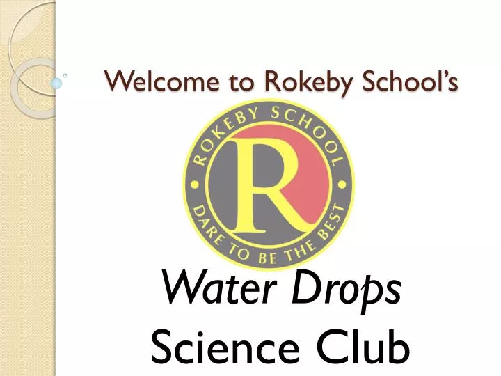 welcome to rokeby school s