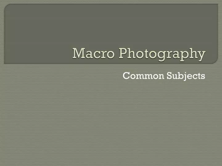 macro photography