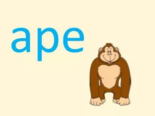 ape