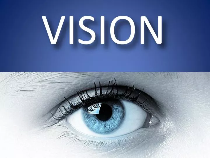 vision