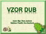 Vzor dub - slide 1