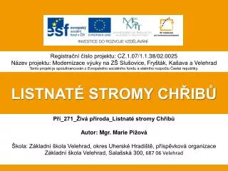 listnat stromy ch ib
