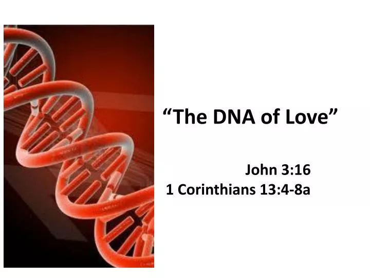 the dna of love