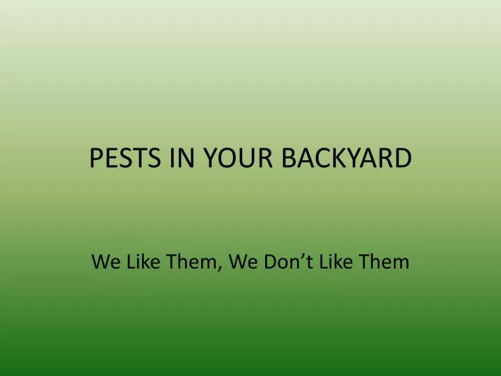 pests in your backyard