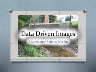 Data Driven Images