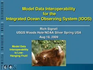 Model Data Interoperability for the Integrated Ocean Observing System (IOOS)