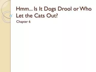 Hmm... Is It Dogs Drool or Who Let the Cats Out?