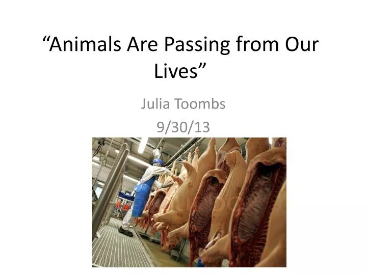 animals are passing from our lives