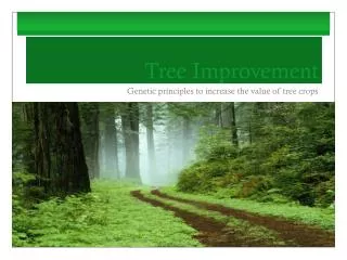 Tree Improvement