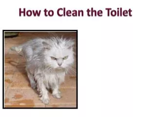 How to Clean the Toilet