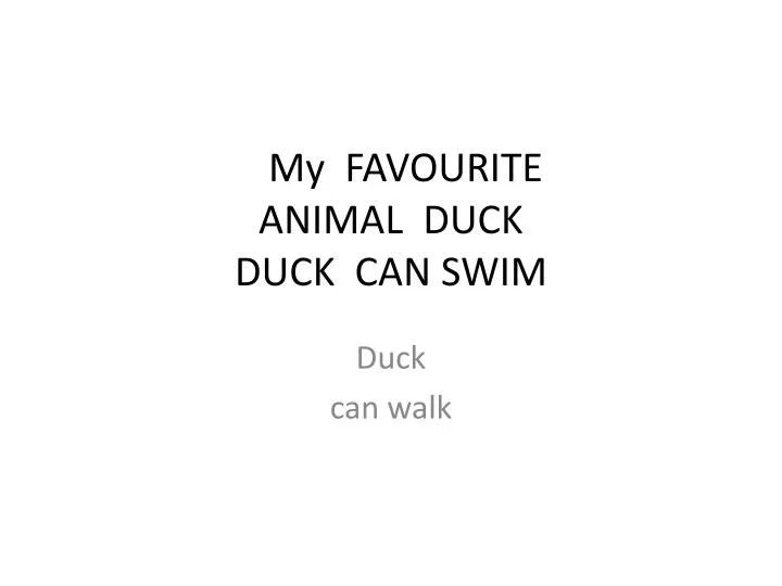 my favourite animal duck duck can swim