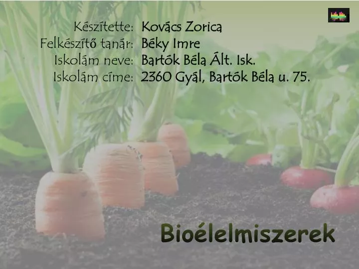 bio lelmiszerek