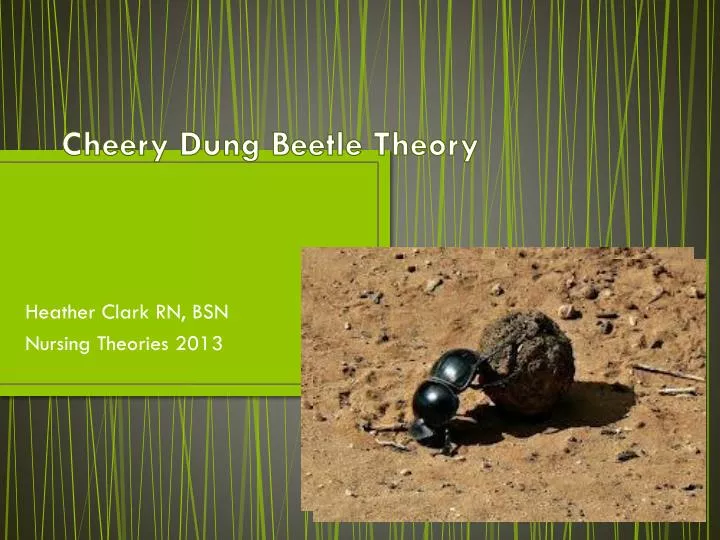 cheery dung beetle theory