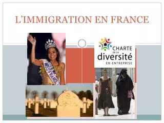l immigration en france