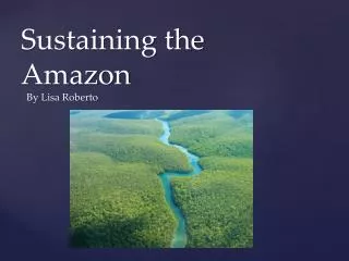 Sustaining the Amazon