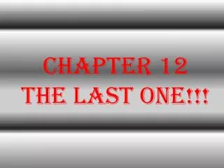 Chapter 12 THE LAST ONE!!!