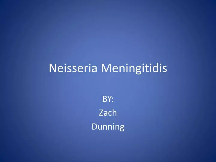neisseria meningitidis