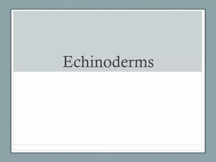 echinoderms