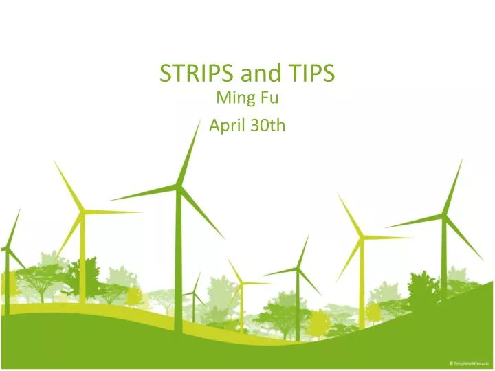 strips and tips