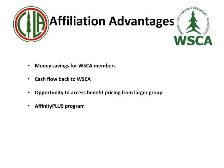 affiliation advantages